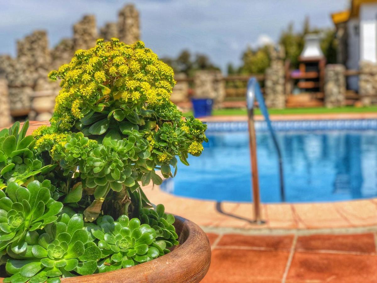 Jarandalus Villa El Gastor Dış mekan fotoğraf