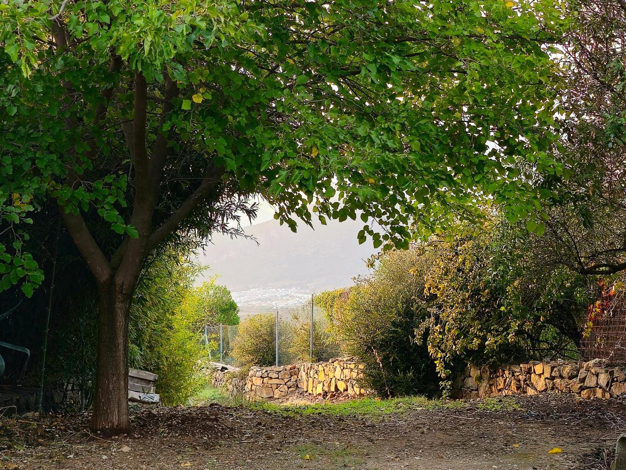 Jarandalus Villa El Gastor Dış mekan fotoğraf